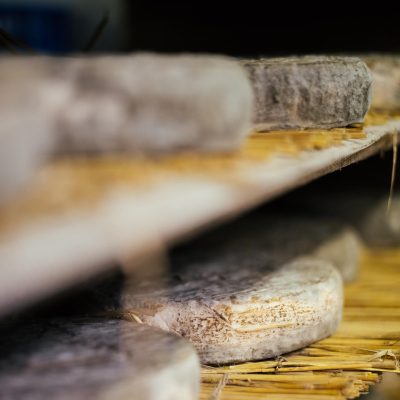 553984082_18059935031611828_4417996274704582820_n